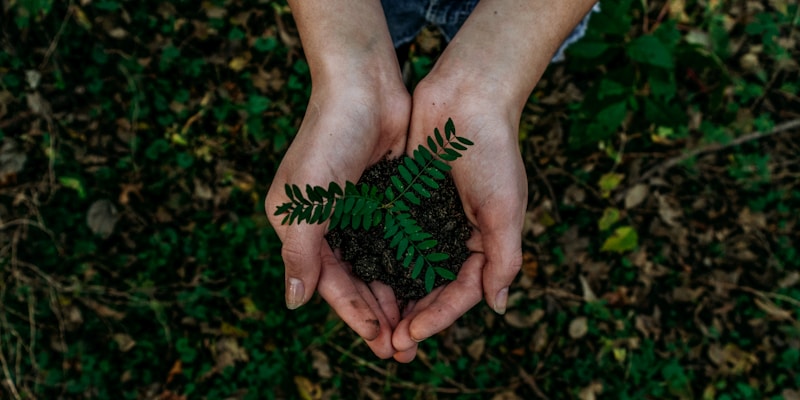 Reducing Hotel Food Waste: Practical Strategies