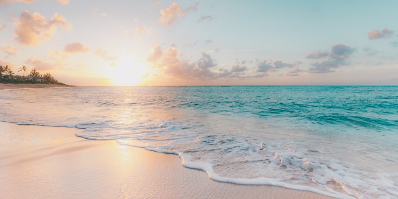 Seasonal Pricing: How to Maximize Revenue Year-Round