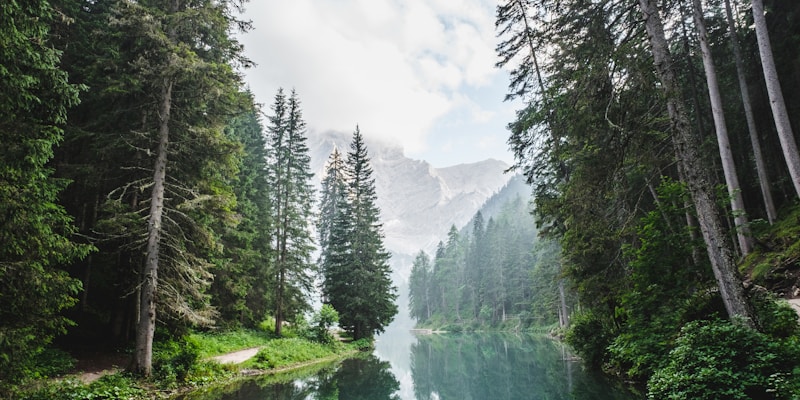 Sustainable Hotel Practices That Save Money
